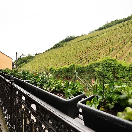 Alte Stadtvilla Am Weinberg 3 Traben-Trarbach Luaran gambar